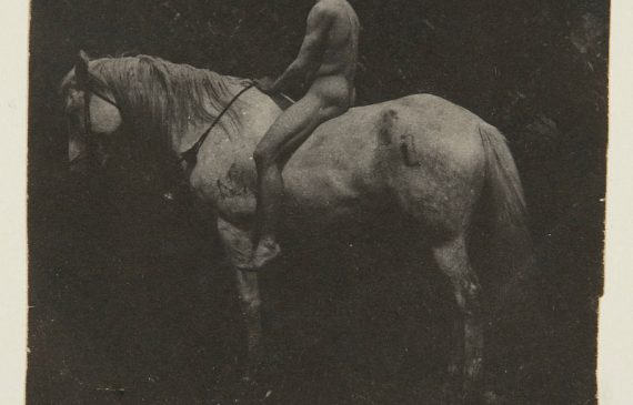 Thomas Eakins: «Billy», el caballo de Samuel Eakins. Hirshhorn Museum and Sculpture Garden; Smithsonian Institution