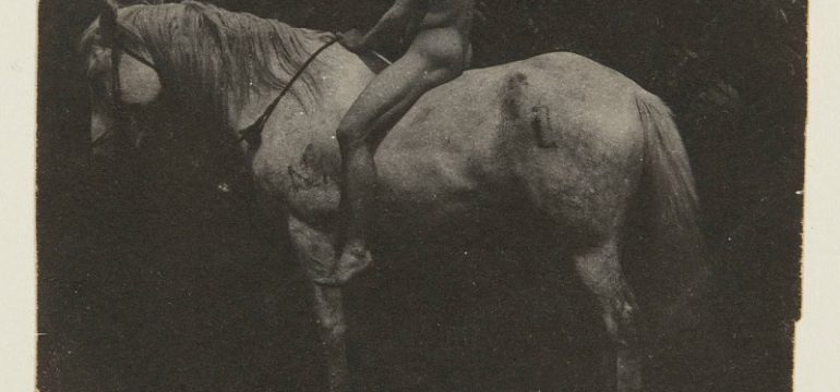 Thomas Eakins: «Billy», el caballo de Samuel Eakins. Hirshhorn Museum and Sculpture Garden; Smithsonian Institution